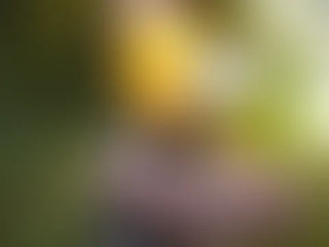 New Hunke set 🤫