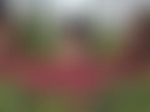 Hottes Schulmädchen in den Wald gep***t