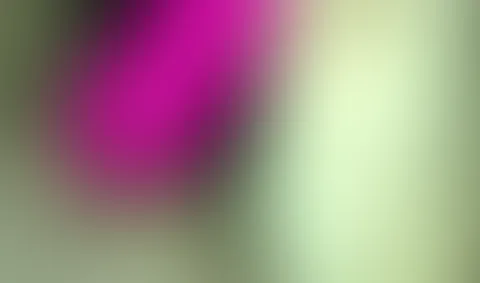 So sieht es aus wenn ihr meinen Lush aktiviert und meine P***y am Ende zuckt. . Nur für Feed Abo´s