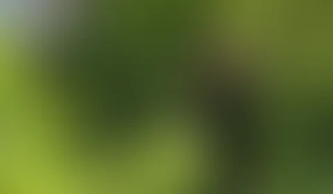 Wir hatten heute so tolles Wetter, dass ich es nicht lassen konnte, einen langen Spaziergang in unserem örtlichen Park zu machen. Wie immer fühlte ich mich geil, also zog ich meine Hose herunter, scho
