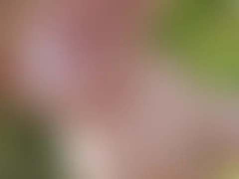❤️😋