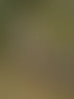 Die letzten warmen Tage genießen, bevor der Herbst beginnt.