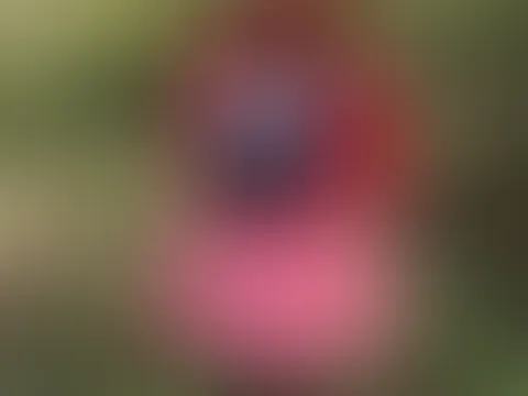 Rotkäppchen allein im Wald!