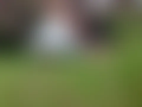 Freust du dich schon auf die Bilder? 😍🥰