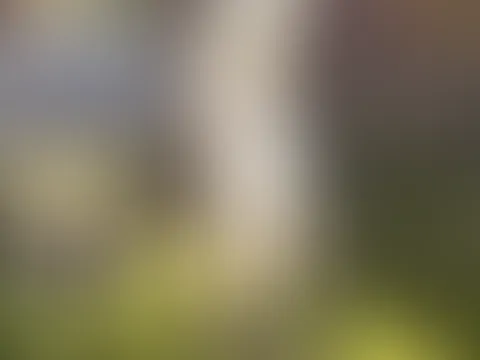 Ich konnte euch das einfach nicht Vorenthalten 🤣🤣