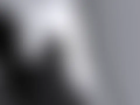 đ