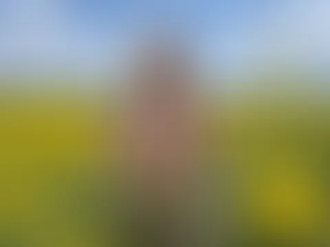 Hier die spicy VIP Ansicht⊠đ„ Ein bisschen weniger Stoff, dafĂŒr deutlich mehr Versuchung đđ€