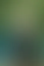 Sag, wie gern würdest du mich jetzt ausziehen? 🖤