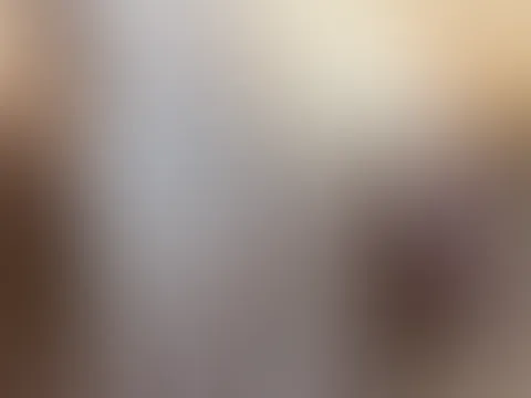 P***y-Bilder Sammlung