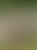 stehst du auf geile Ärsche?