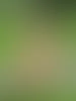 Nochmal die letzten Sonnenstrahlen genießen :)