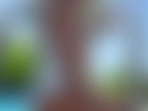 Heute gibt es ein Titten Bild und Titten Reel zum Bild des Tagesđ
