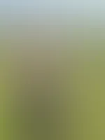 Natur pur⊠und ein bisschen naughty đ