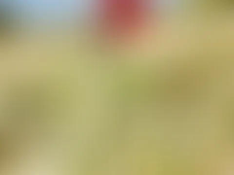 Letztes Jahr sommer war es so schön 😅😅