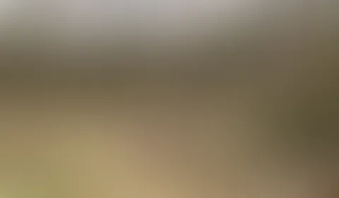 Mein erstes S*x Video mit Gesichtsbesamung! Und das war auch noch Outdoor!