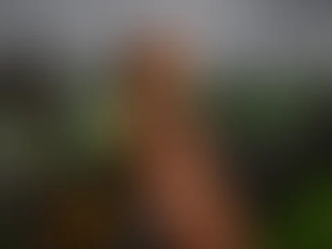 Alle Bilder von meinem legendären Kalender Titelseiten Fotoshooting!