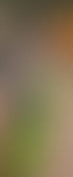 Ein kleiner Einblick von heute đ