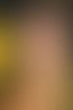 „Exklusive Inhalte – bei Interesse einfach melden.“
