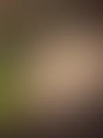 Ausgezeichnet