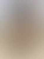 đ