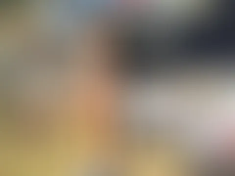 AnhĂ€ngerkupplung 2.0