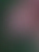 Mit "dankeeuch30" 30% sparen đ jetzt zuschlagen đ