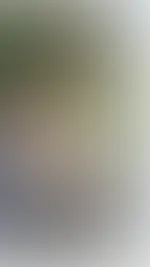 Das letzte Foto auf dieser Plattform. Alle Videos und Fotos reduziert. Zuschlagen lohnt sich. Konto wird bald deaktiviert.