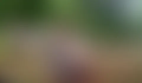 Public Orgasmus – Postfrau hört mit!