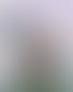 Feed Post