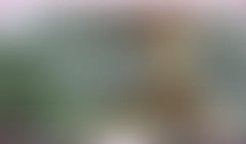 Mein erstes Mal mit dem XL Dildo - sooo geil