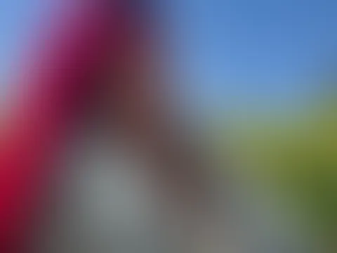 Im Rapsfeld wurde es heiĂđ