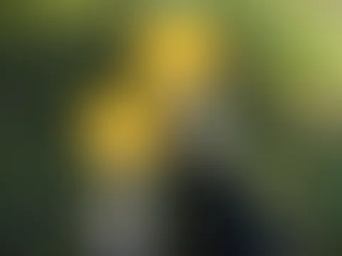 Füße in der Natur 🌿🦶🏻