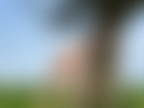 Im transparenten hellblauen Dessous stehe ich am Baum und bin soeas für bereit für Doggy…