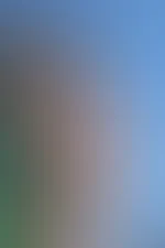 ---