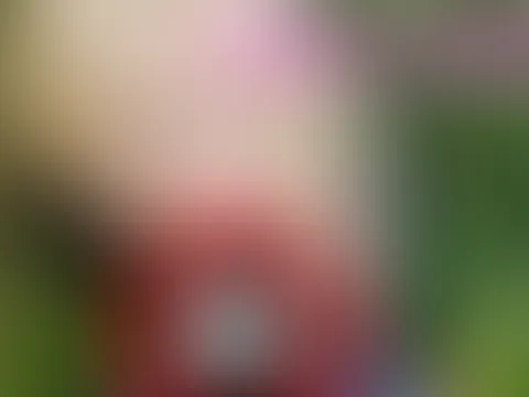 TEENIE OUTDOOR IM WALD VOM PERVERSEN FÖRSTER AO DURCHGEF**KT UND VOLLGESPRITZT!!!