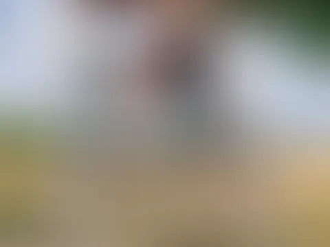 Einen wunderschönen guten Morgen