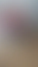 đ