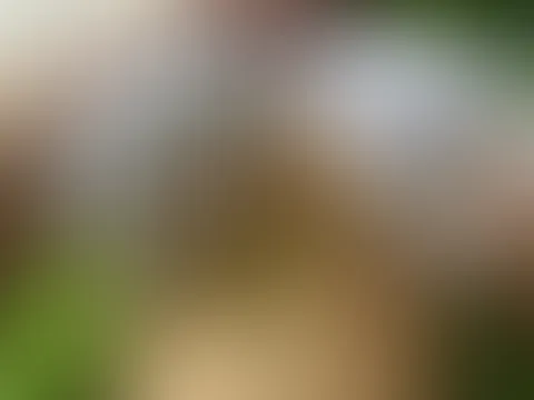 Outdoor / Public Boobs Video🍒🌳😱