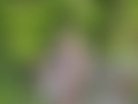Eigentlich wollte ich nur entspannt durch den Wald laufen… doch plötzlich hat mich die Lust komplett überrollt 😈  Zum Glück hatte ich meinen Dildo dabei 🔥 Ich konnte einfach nicht widerstehen und ha