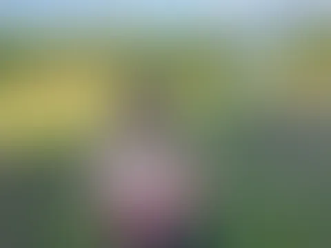 Er kam â und jemand anders fast auch đ
