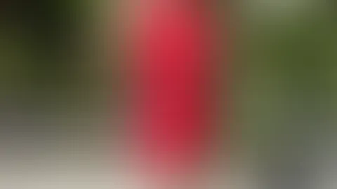 So, how do you like the dress?