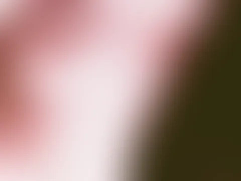 Ich wünsche euch eine heiße , feuchte Woche 💦👀🧡