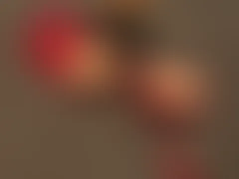 eine auswahl für live