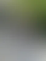Heißes Wetter = Titten raus