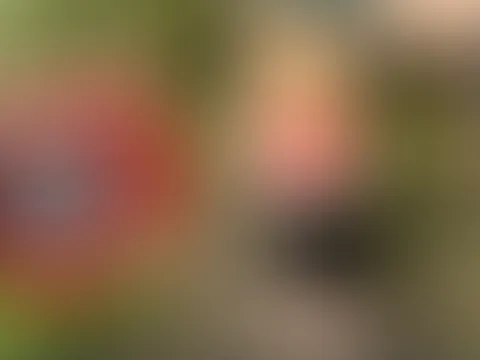 Teen Weitp**s vom Hochsitz meines Nachbarn