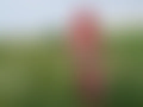 Mein Bett im Kornfeld 18+