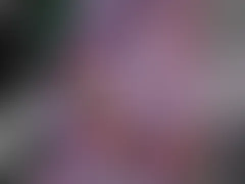 Bikini babe đ„°đ hot dance