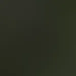 Hey du…  Ich war heute im Wald , ganz spontan. Die letzten warmen Tage wollte ich einfach nochmal richtig genießen, bevor es wieder kalt wird. Und na ja… irgendwie hat mich diese wilde Stimmung da dra