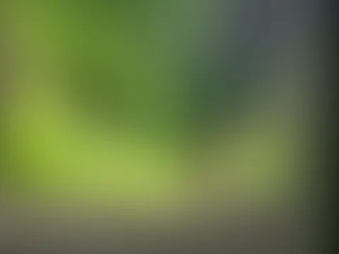 Outdoor S*x Video